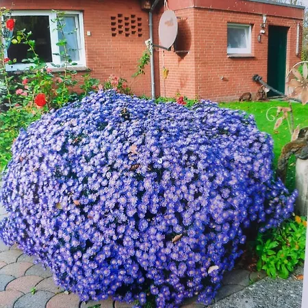 Doppelzimmer Mit Fruehstueck, Auch Als Einzelzimmer Im Obergeschoss *